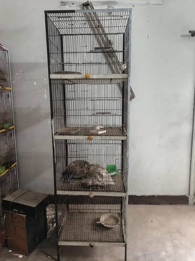 BIRD CAGE