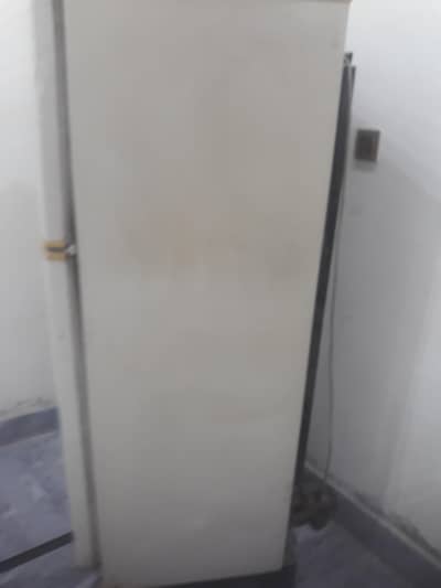 pel fridge