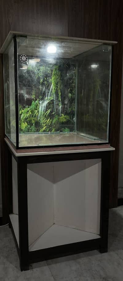 Fish Aquarium Setup for Sale Price: Rs. 30,000 ( 03009562312)