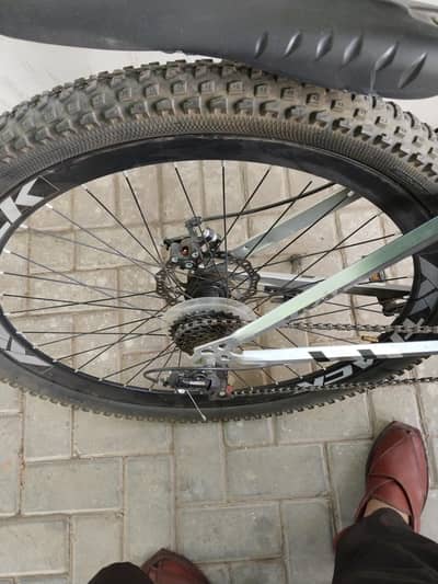 comfortable cycle