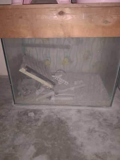 sale karna ha