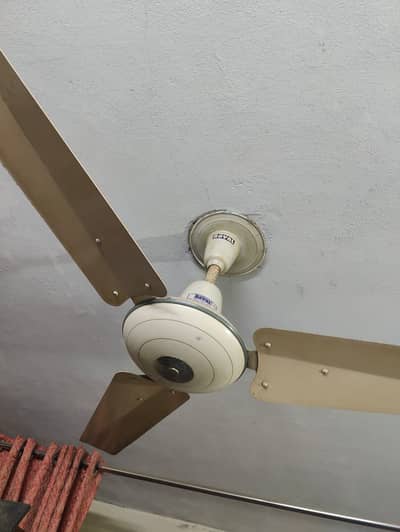 Royal Ceiling Fan For Sale
