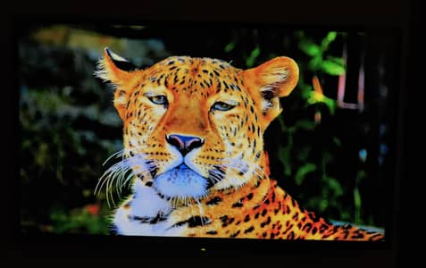 sony bravia 40 inch full hd led tv