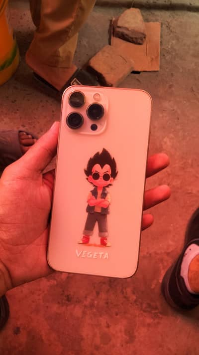Apple iPhone 13 Pro Max