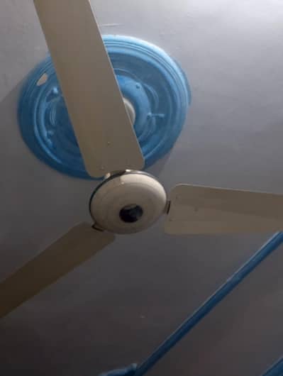 celling fan