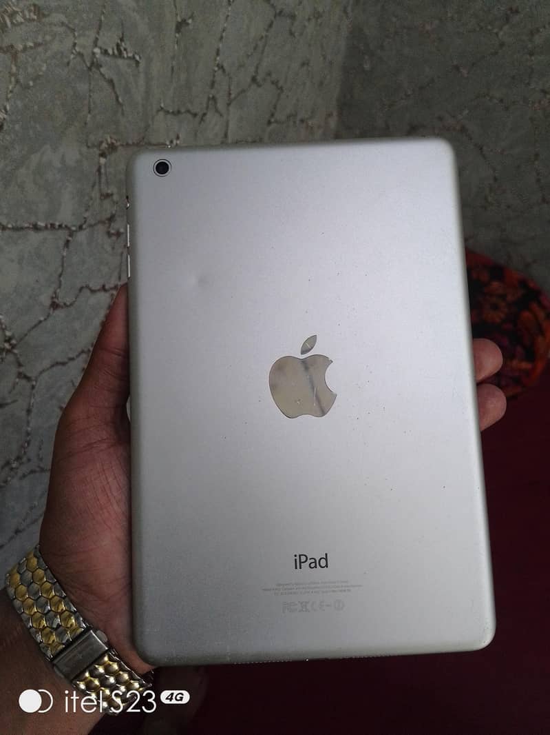 iPad mini2 0