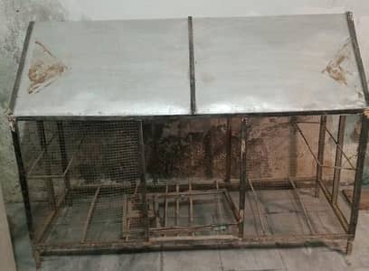 Used Pinjra good condition