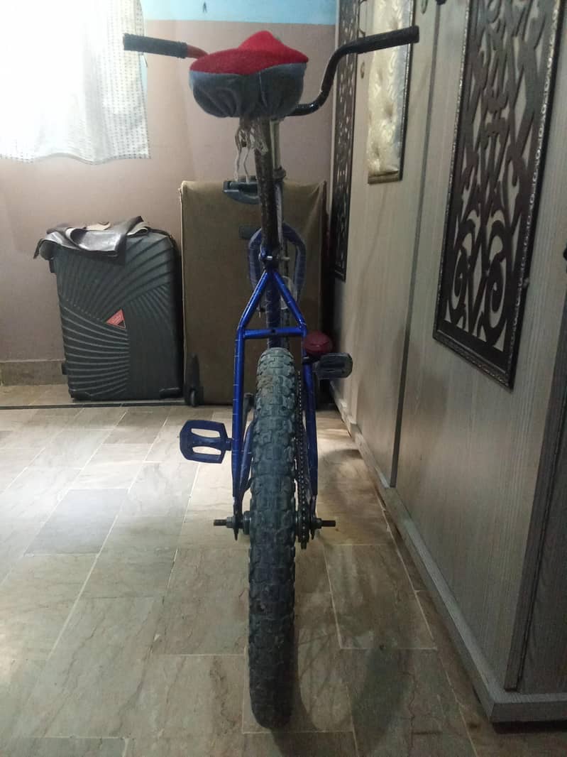 bicycle 2