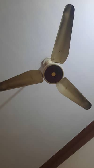 lahor fan