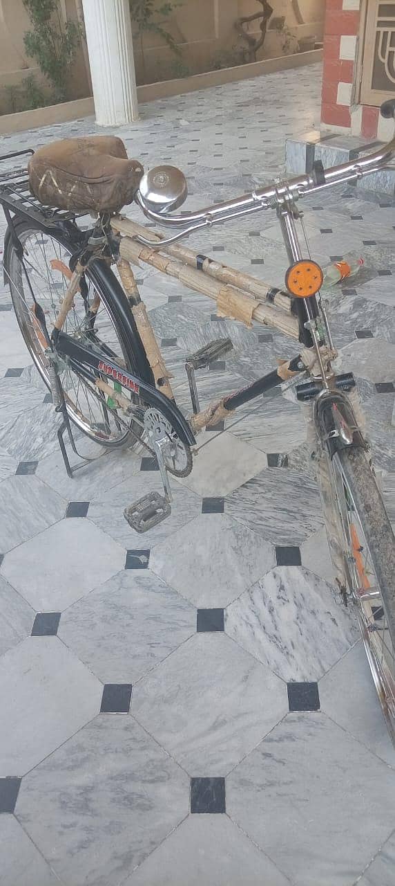 cycle 22" 1