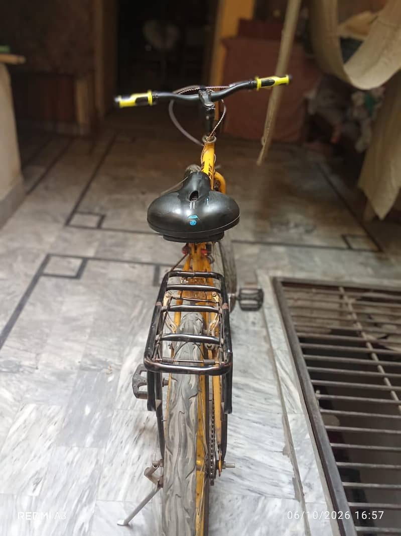 phoenix cycle 1