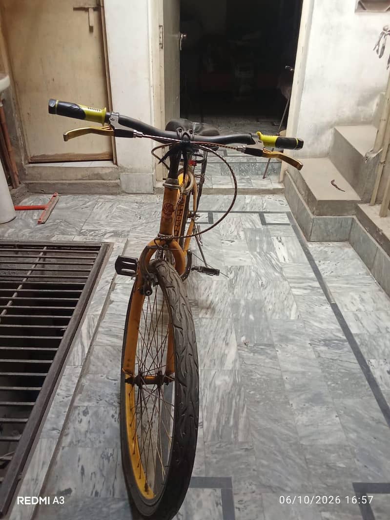 phoenix cycle 3