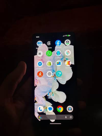 google pixel 6 official pta