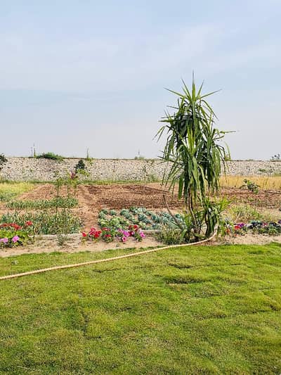 5 Kanal Farmhouse For Sale In Neela Dullah