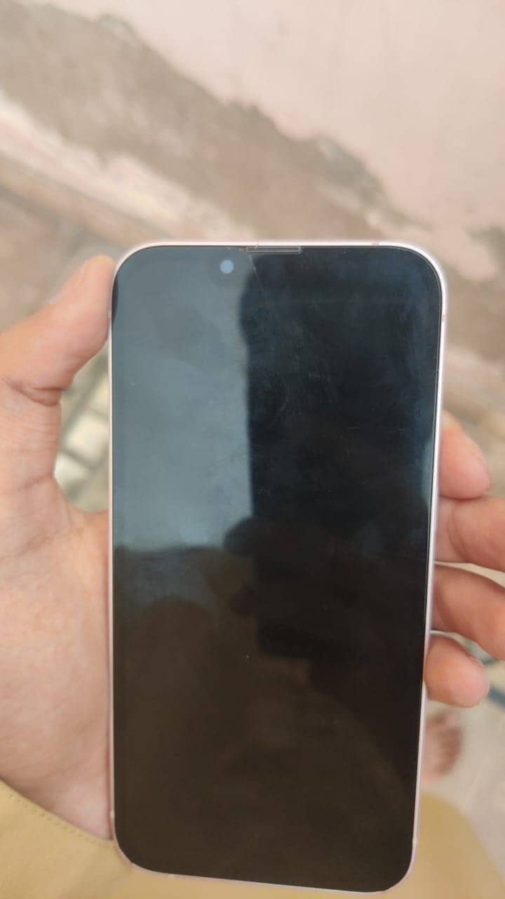 Apple iPhone 13 0