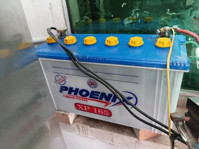 phoenix 165 mah 17 plates