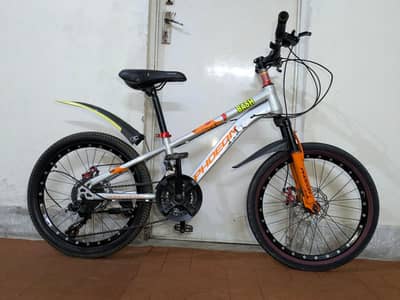 Phoenix mountain bicycle for sale