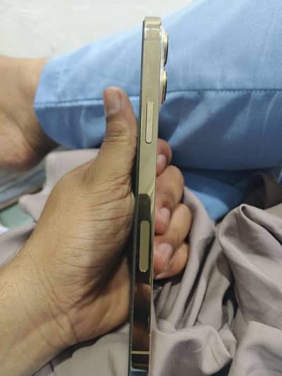 Apple iPhone 13 Pro Max jv