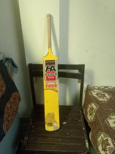 cricket bat