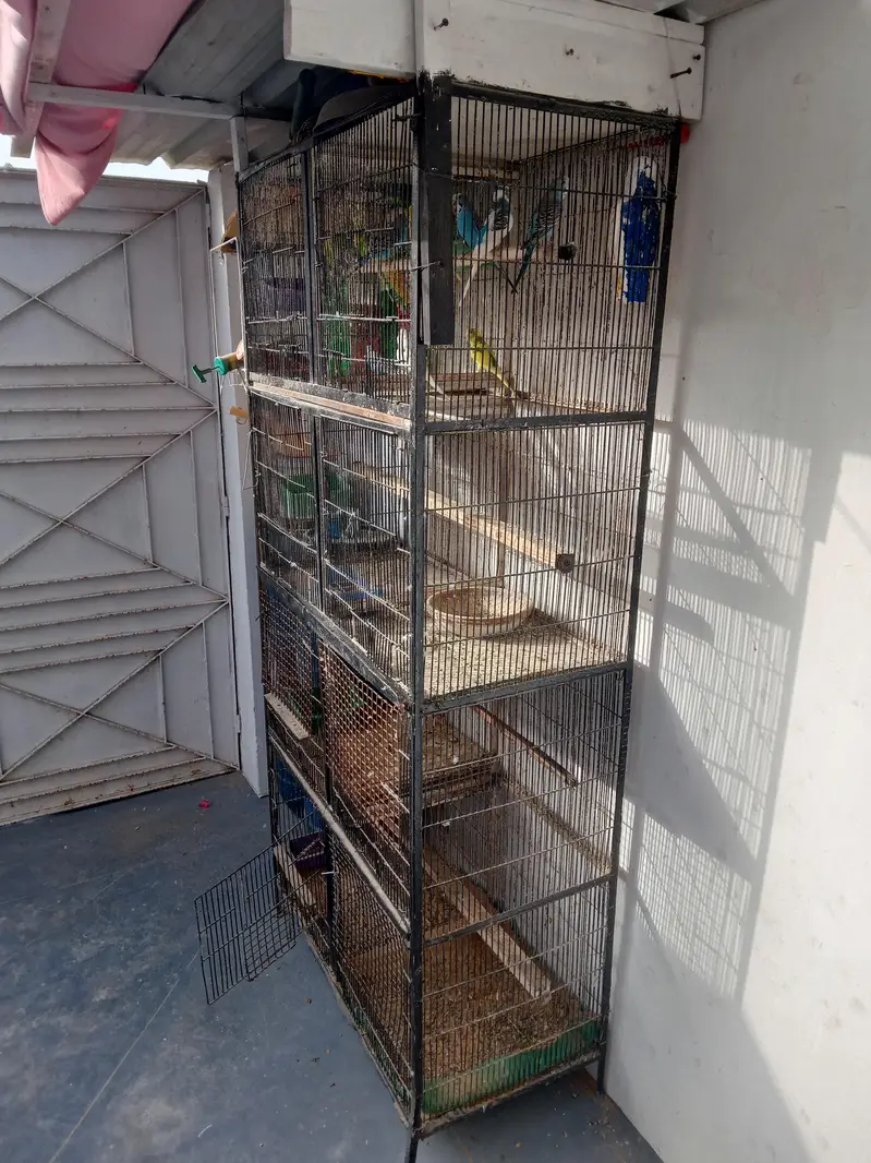 2 Portion Cage — photo 2