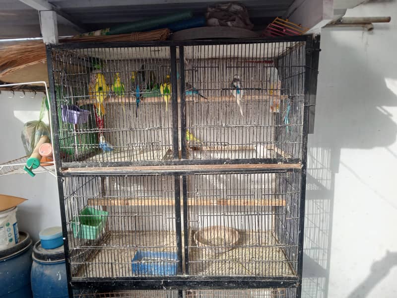 2 Portion Cage 2