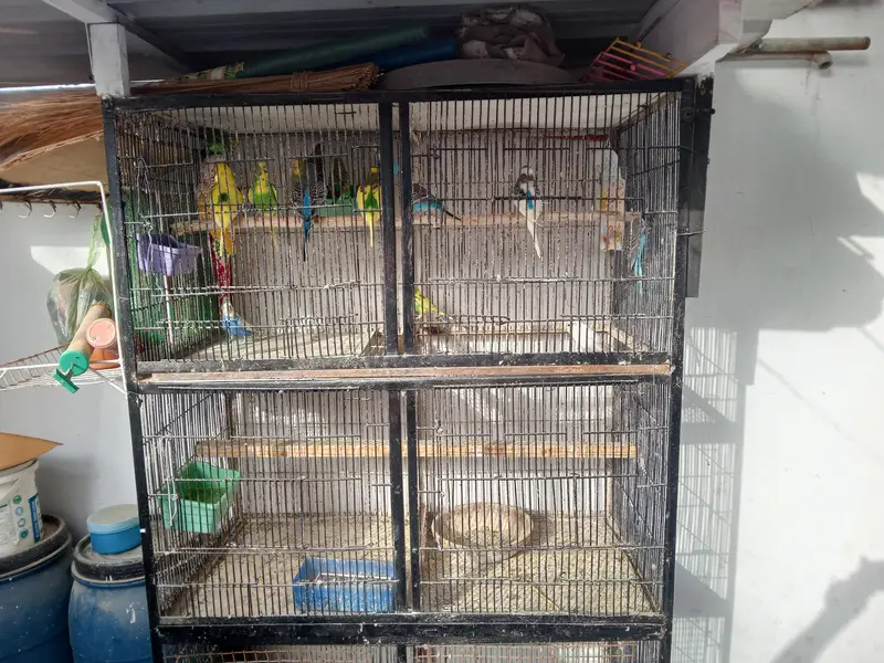 2 Portion Cage — photo 3