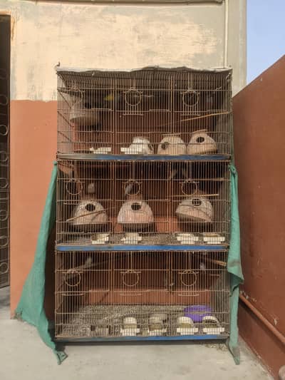 Birds Cage For Sale