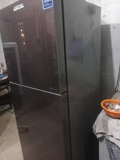 hair fridge