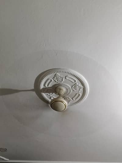 Royal Fans and other Company Brand 03228007302