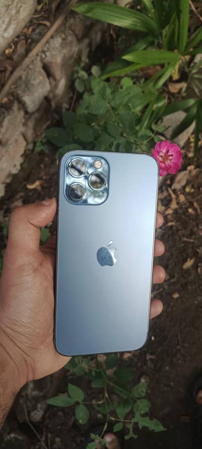 Apple iPhone 12 Pro Max 256 fu