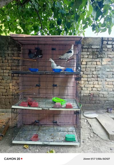 Cages