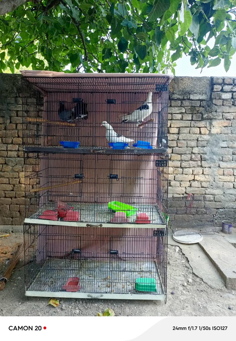 Cages 0
