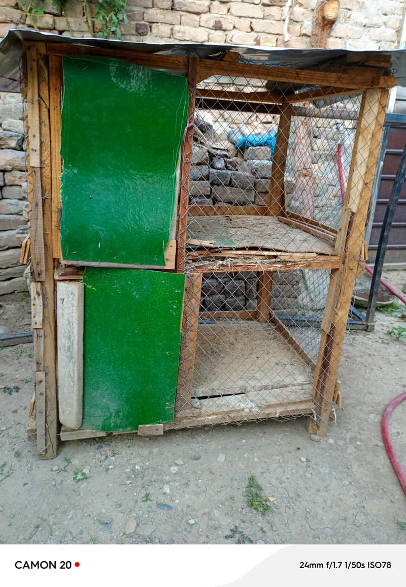 Cages 1