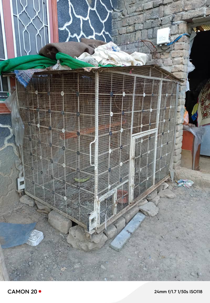 Cages 3