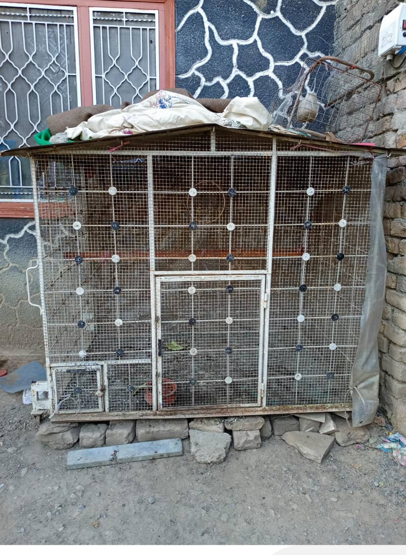 Cages 4