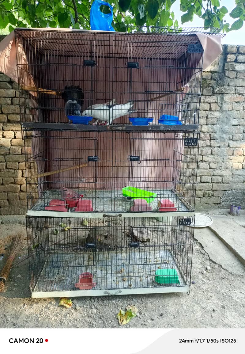 Cages 7