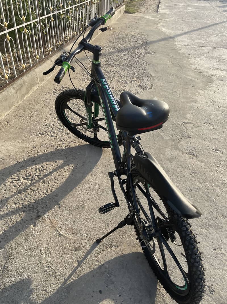 New cycle 1