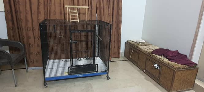 CAGE FOR PARROT & CAT