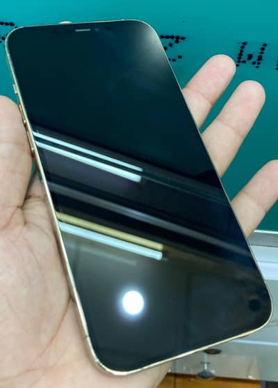 Apple iPhone 12 Pro Max