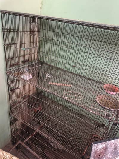 4 piece Cage