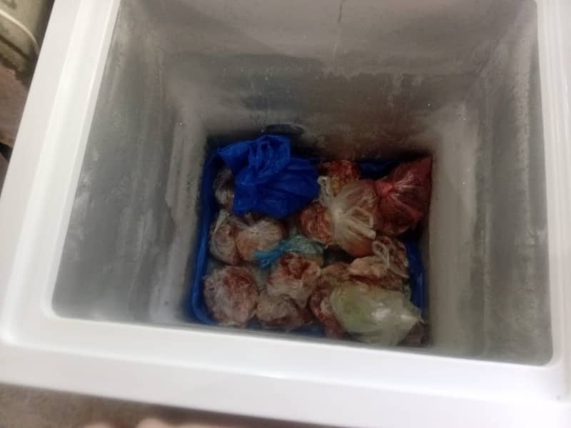 Depp Freezer 2