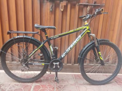 12-Springs Bicycle