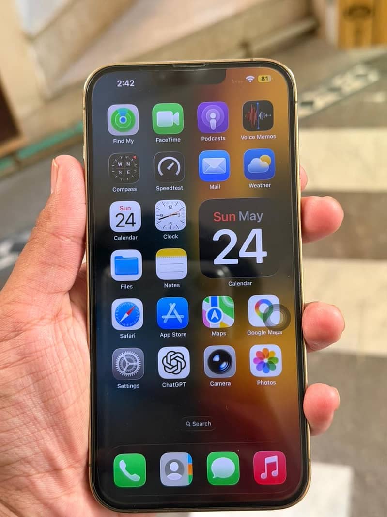Iphone 13 pro max 1