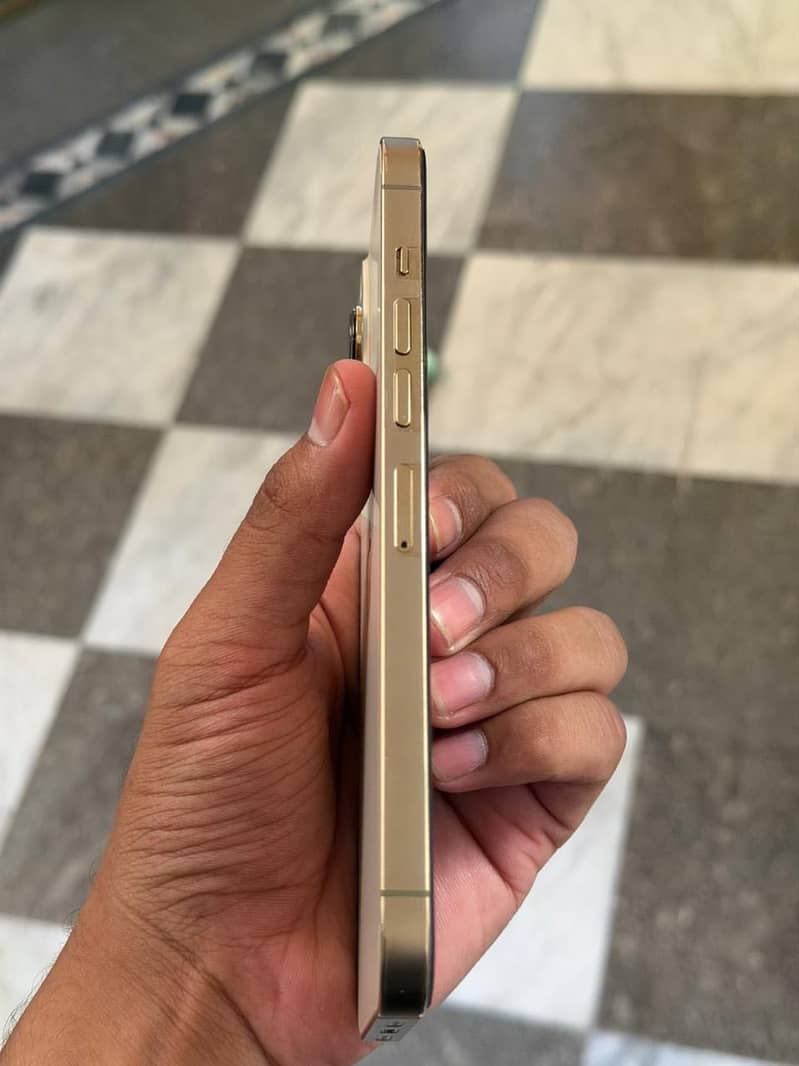 Iphone 13 pro max 4