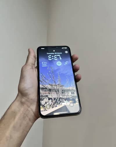 Apple iPhone XS Max