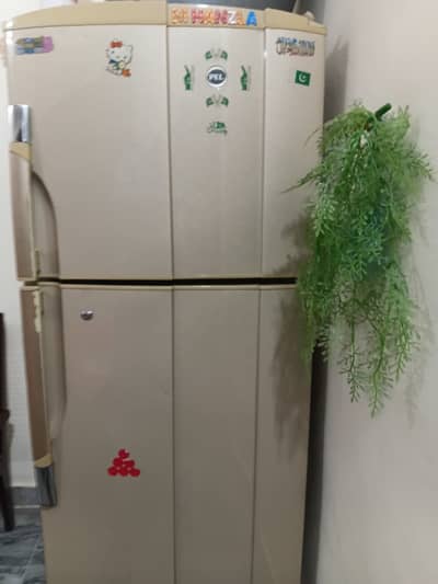 PEL Refrigerator