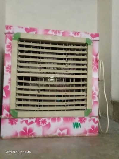 Lahorii Room Cooler