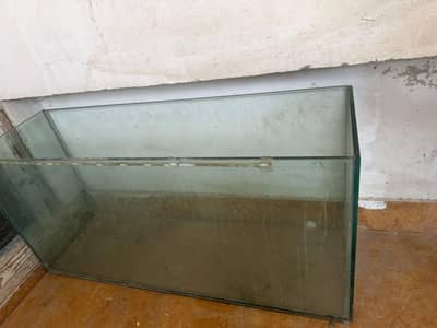 aquarium