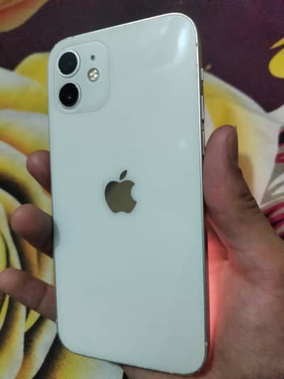 Iphone 12 factory unlock