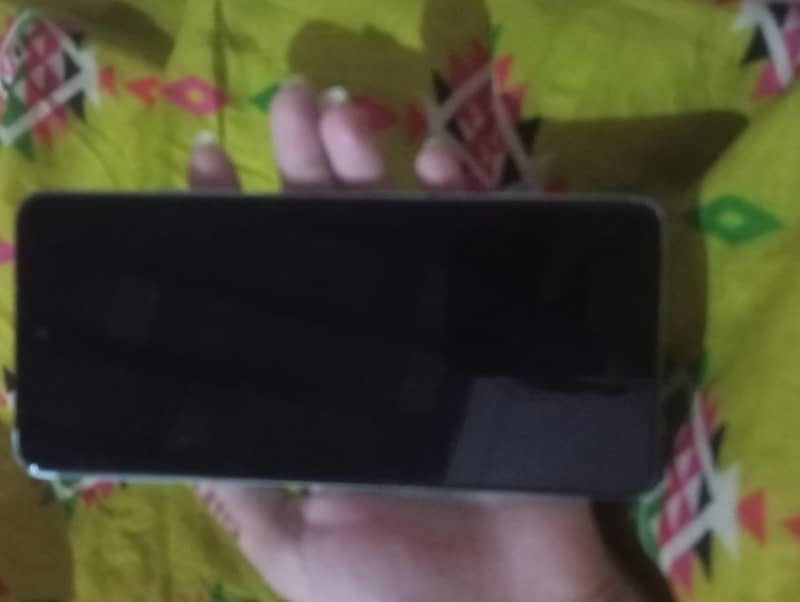 Dcode Bold 3 Pro 1